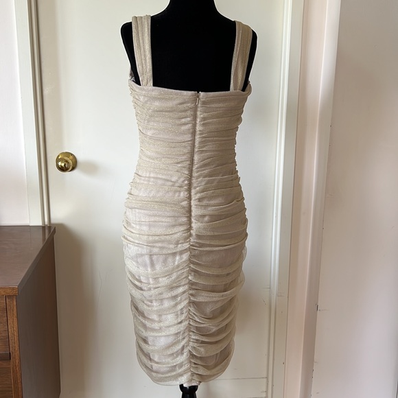 Tadashi Shoji Gold Mesh Sweetheart Dress 12 EUC - Picture 8 of 16